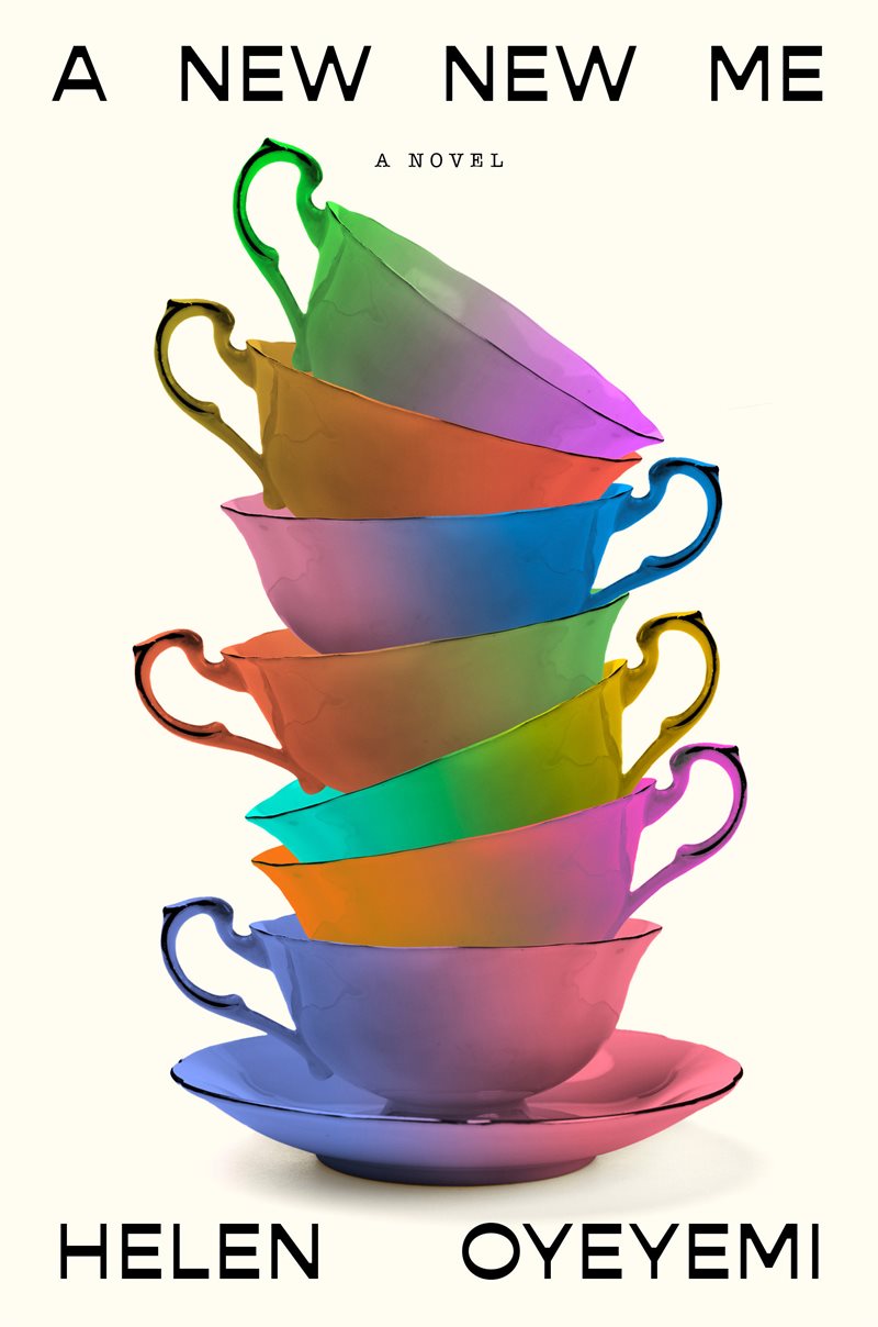 A New New Me: A Novel