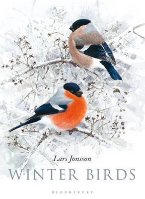 Winter Birds