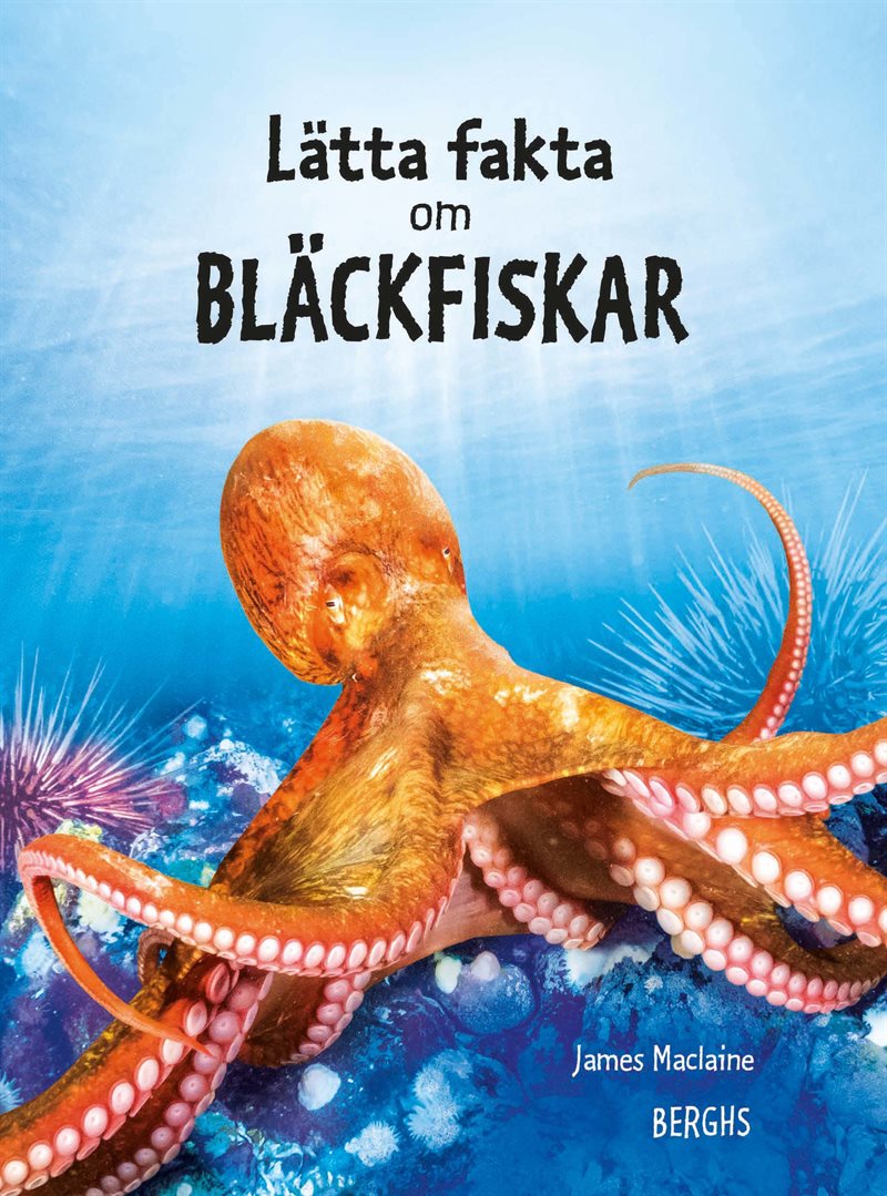 Lätta fakta om bläckfiskar
