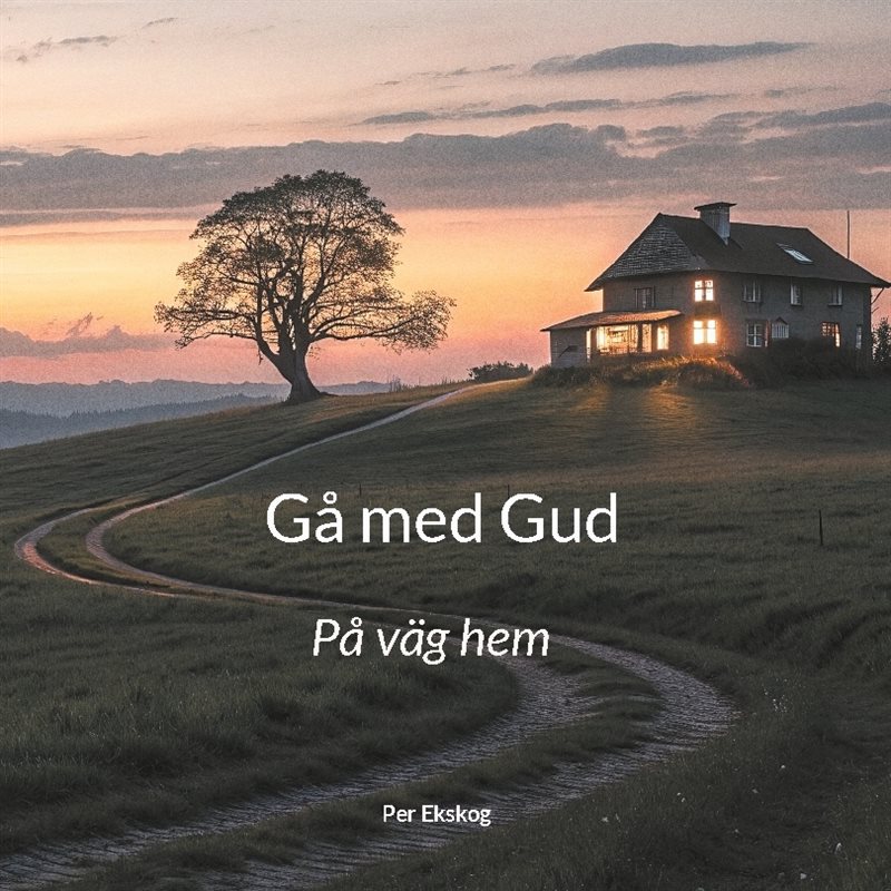 Gå med Gud : på väg hem