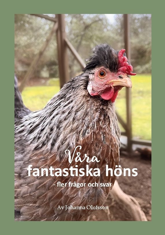 Våra fantastiska höns - fler frågor och svar