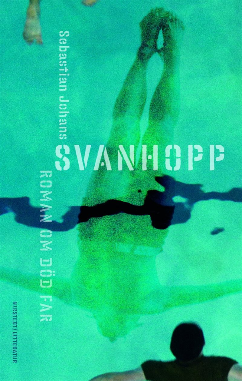 Svanhopp : roman om död far