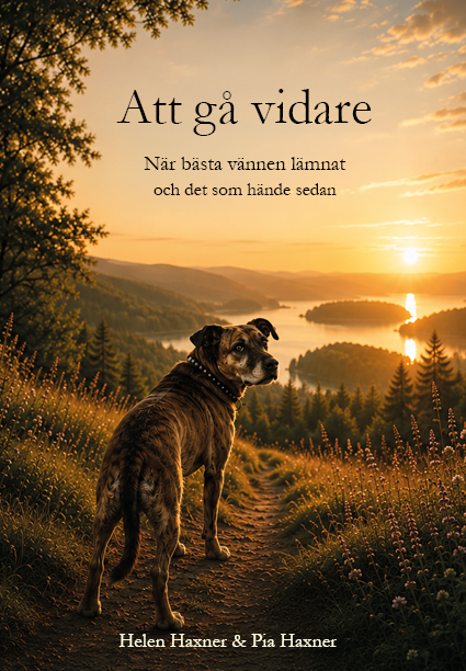 Att gå vidare när bästa vännen lämnat - och det som hände sedan