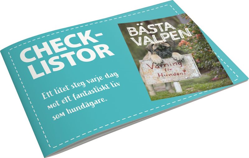 Bästa Valpen - Checklistor