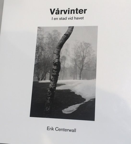 Vårvinter