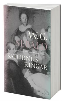 Saturnus ringar : en engelsk vallfart