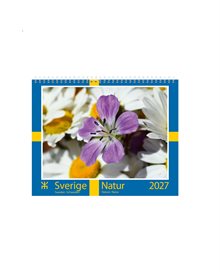 Väggkalender Sverige Natur Almanacksförlaget
